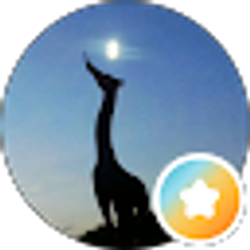 Profile photo of Liza McDow