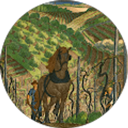 Profile photo of Amanda Dawson