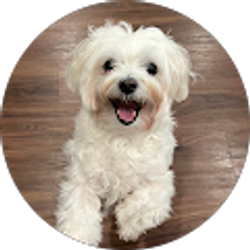 Profile photo of Emmy Frank