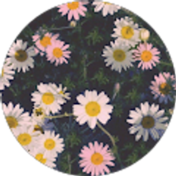 Profile photo of Nayeli