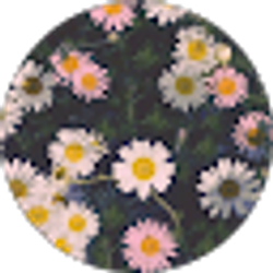 Profile photo of Nayeli