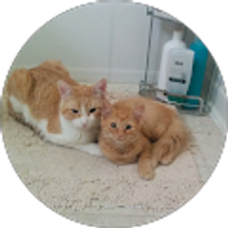 Profile photo of Tere N.