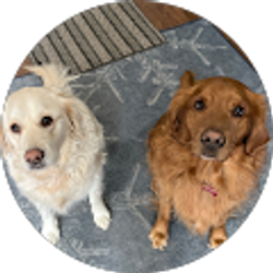 Profile photo of Terry Pence