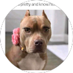 Profile photo of Harobed Obob