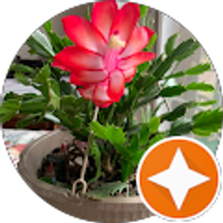 Profile photo of buttrfly1313