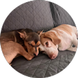 Profile photo of Amy Wolford