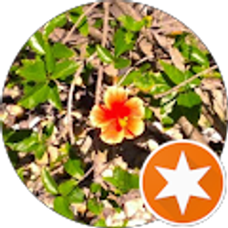 Profile photo of Georgia B