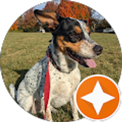 Profile photo of Angelina D