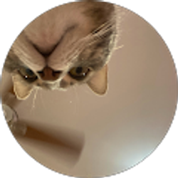 Profile photo of Hailey Paisant