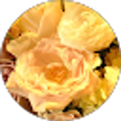 Profile photo of Tracy Ruiz