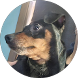 Profile photo of Stormie Tatum