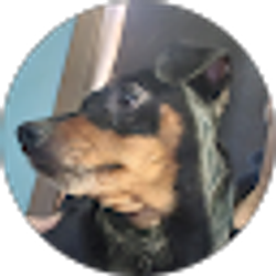 Profile photo of Stormie Tatum