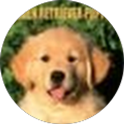 Profile photo of Barb French