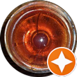 Profile photo of Matt Tolman II