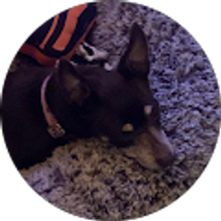 Profile photo of Laurie Stumbo