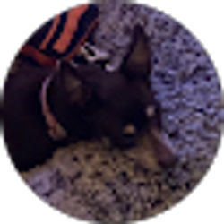 Profile photo of Laurie Stumbo