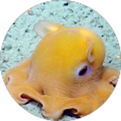 Profile photo of Sean Clark