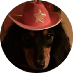 Profile photo of Jennifer Wiles