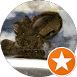 Profile photo of Renia E Saddler