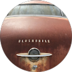 Profile photo of Denise Roberts