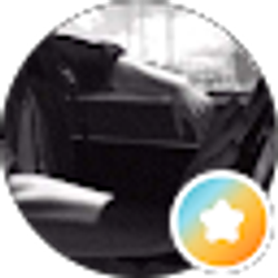 Profile photo of D