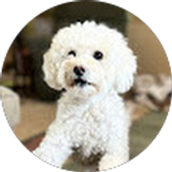 Profile photo of Jan Masella