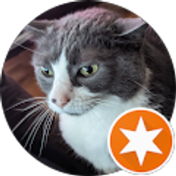 Profile photo of Squeakers