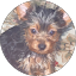 Profile photo of Sharon Vincent