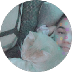 Profile photo of destany