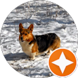 Profile photo of Cathy Collins