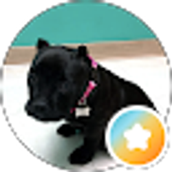 Profile photo of Kimberly Romero