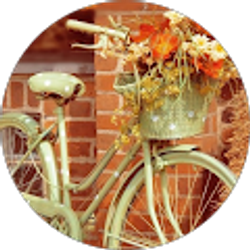 Profile photo of Darla Williams