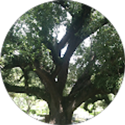 Profile photo of Kara Knoche