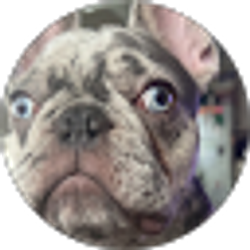 Profile photo of hannah johnson
