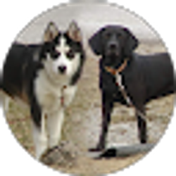 Profile photo of Mary Jackson