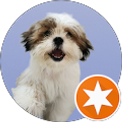 Profile photo of Aneesh Kumar