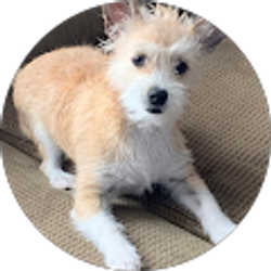 Profile photo of Justin M Carias