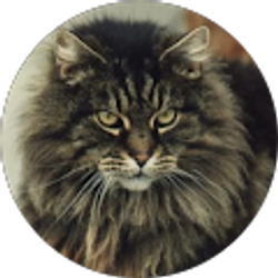 Profile photo of Placeholder Title