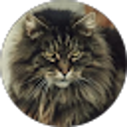 Profile photo of Placeholder Title