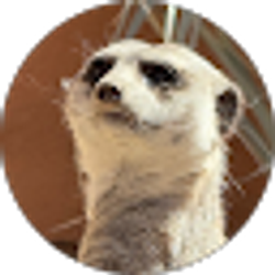 Profile photo of John Ferguson