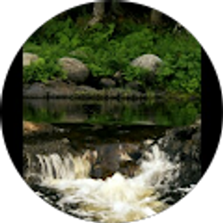 Profile photo of Sarah Malone