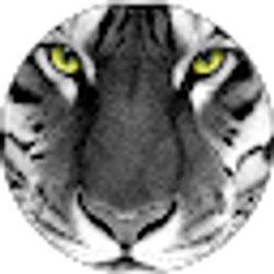 Profile photo of Fernando Bosque