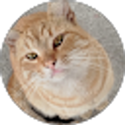 Profile photo of YungMa
