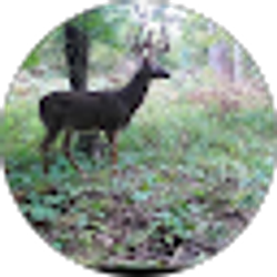 Profile photo of Wisconsin