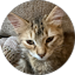Profile photo of Harry