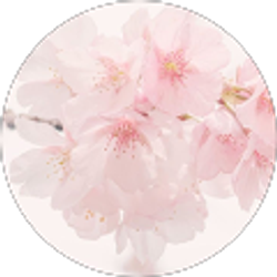 Profile photo of Faith Anderson