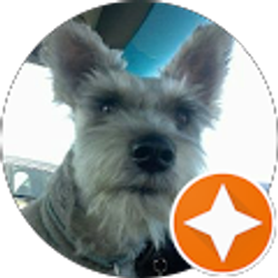 Profile photo of Michael Thompson