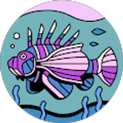 Profile photo of Christian Kim