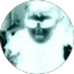 Profile photo of Tom Sidorski