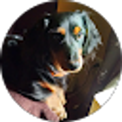 Profile photo of Ray Coram